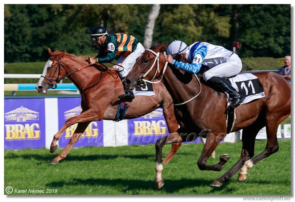 Bratislava - 15. septembra 2019