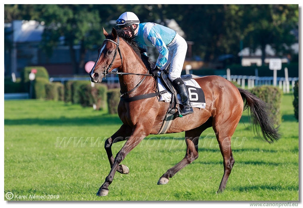 Bratislava - 15. septembra 2019