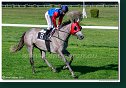 dostih č. 4 - Hendikep Robinsona Cruso