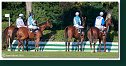 dostih č. 8 - Veľká starohájska steeplechase