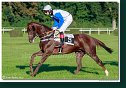 dostih č. 8 - Veľká starohájska steeplechase