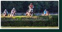 dostih č. 8 - Veľká starohájska steeplechase