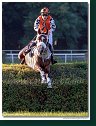 dostih č. 8 - Veľká starohájska steeplechase