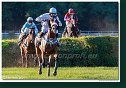 dostih č. 8 - Veľká starohájska steeplechase