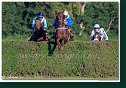 dostih č. 8 - Veľká starohájska steeplechase