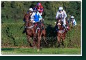 dostih č. 8 - Veľká starohájska steeplechase