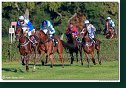 dostih č. 8 - Veľká starohájska steeplechase