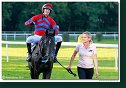 dostih č. 8 - Veľká starohájska steeplechase