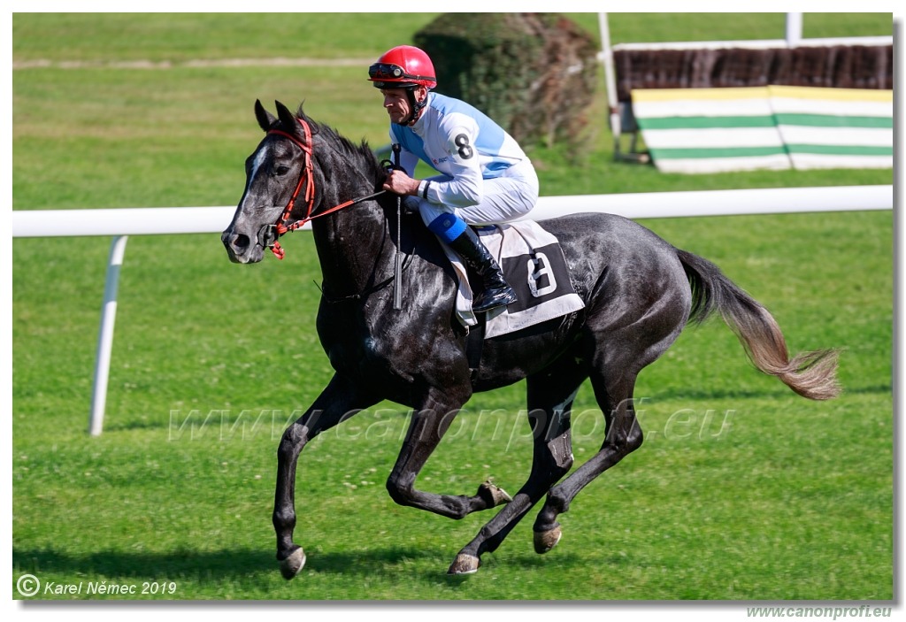 Bratislava - 29. septembra 2019