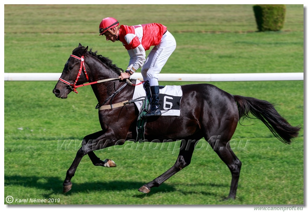 Bratislava - 29. septembra 2019
