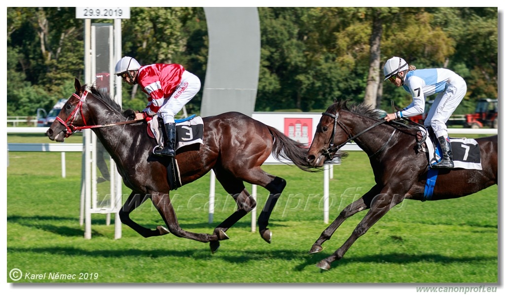 Bratislava - 29. septembra 2019