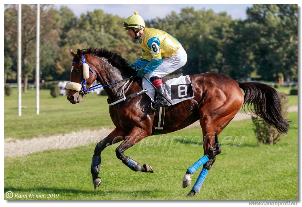 Bratislava - 29. septembra 2019