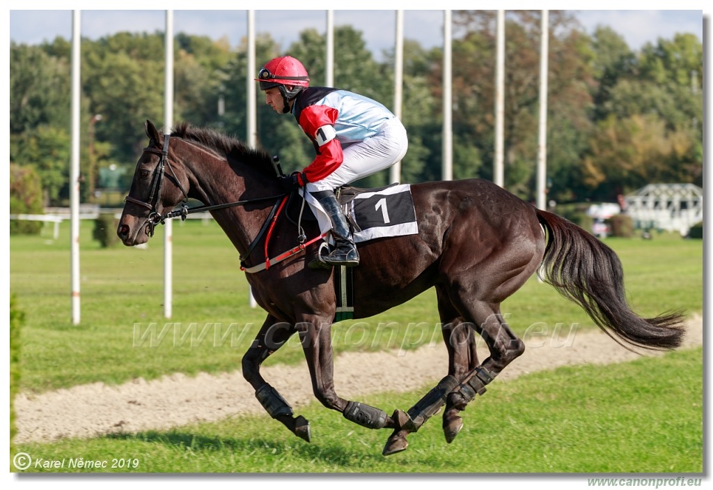 Bratislava - 29. septembra 2019