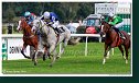 dostih č. 5 - 25. Cena Whisky spoločnosti ARQANA
