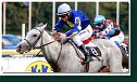 dostih č. 5 - 25. Cena Whisky spoločnosti ARQANA