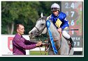 dostih č. 5 - 25. Cena Whisky spoločnosti ARQANA