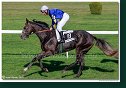 dostih č. 7 - 27. Slovenský St. Leger