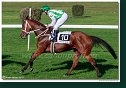 dostih č. 7 - 27. Slovenský St. Leger