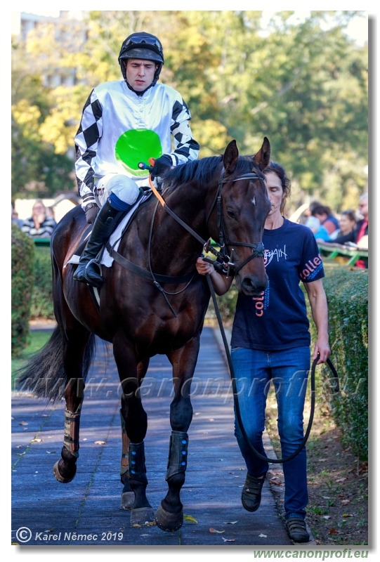 Bratislava - 20. októbra 2019