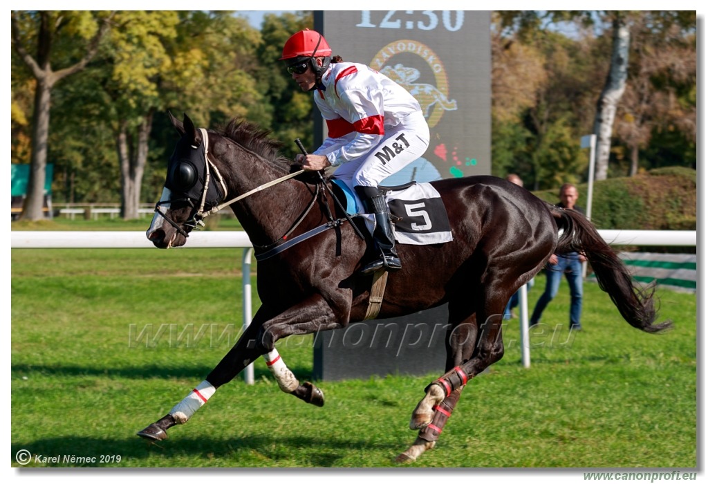 Bratislava - 20. októbra 2019