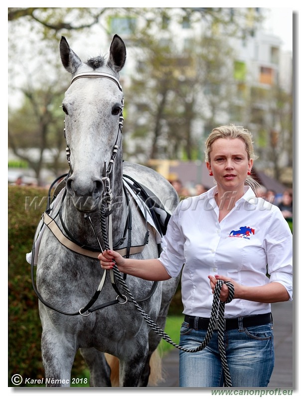 Bratislava - 15. apríla 2018