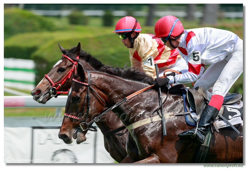 Bratislava - 03. júna 2018