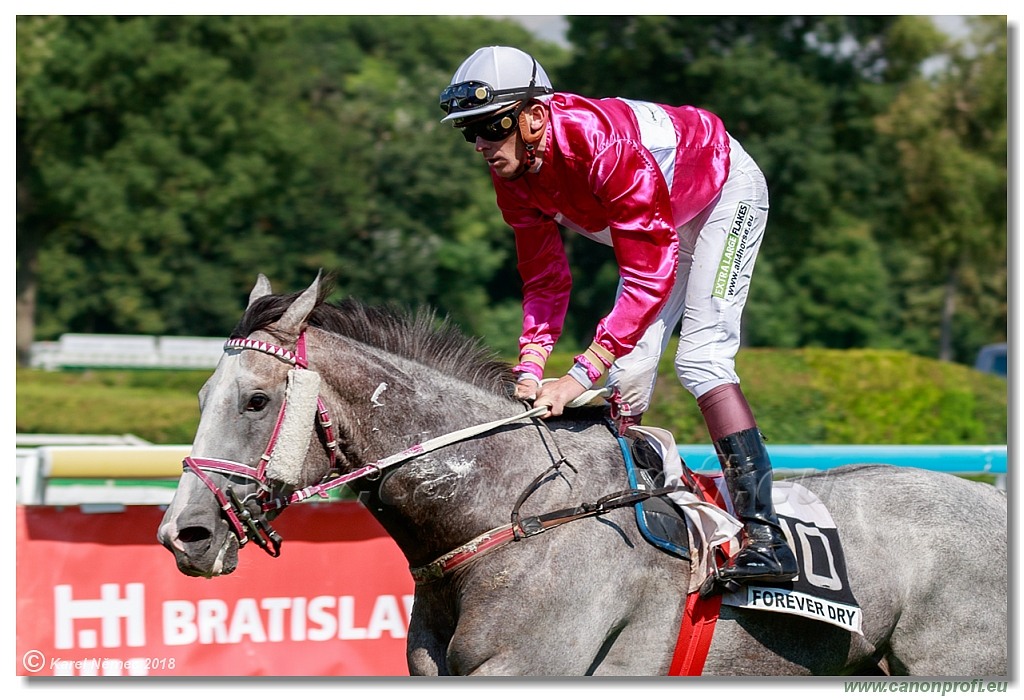 Bratislava - 15. júla 2018