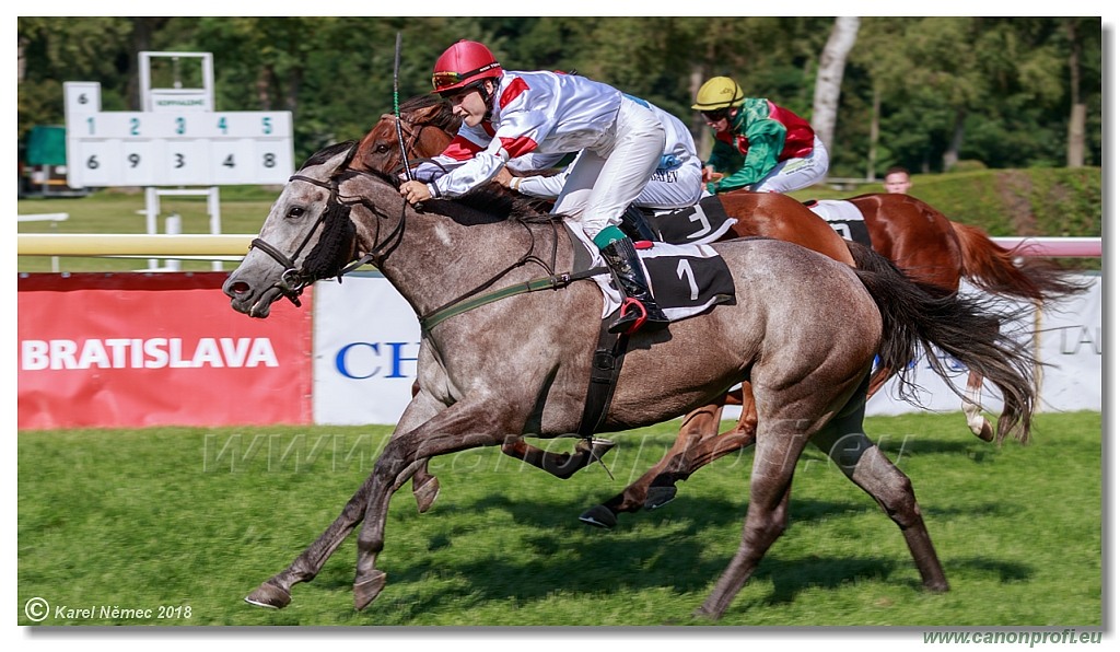 Bratislava - 15. júla 2018