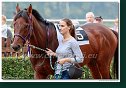 Hendikep Petite Sirene 
