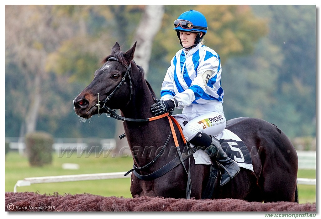 Bratislava - 28. októbra 2018