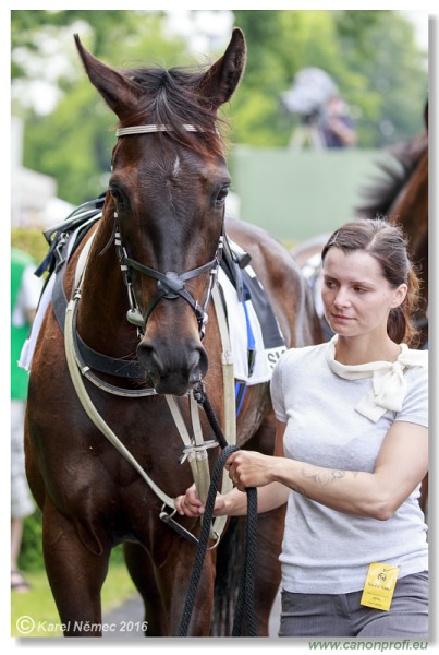 Bratislava - 05. júna 2016 