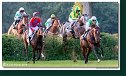 Veľká starohájska steeplechase