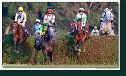 Veľká starohájska steeplechase