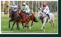 Veľká starohájska steeplechase