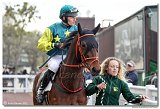 5. dostihy -Memoril Nmanskho 