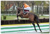 5. dostihy -Memoril Nmanskho 