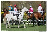6. dostihy -49. Jarn cena  