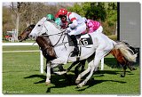 6. dostihy -49. Jarn cena  