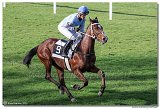 7. dostihy -Cena trojronch kon 