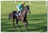 7. dostihy -Cena trojronch kon 
