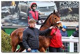 8. dostihy -Cena Tantry 