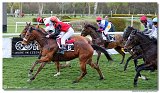 8. dostihy -Cena Tantry 
