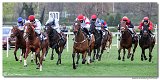 8. dostihy -Cena Tantry 