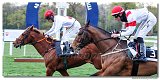 8. dostihy -Cena Tantry 
