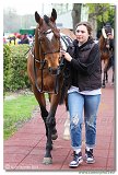 4. dostihy - Hendikep Fiorhead 