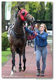 5. dostihy - Cena Rosensturma 
