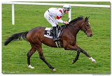 5. dostihy - Cena Rosensturma 