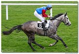 5. dostihy - Cena Rosensturma 