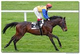 5. dostihy - Cena Rosensturma 