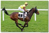 5. dostihy - Cena Rosensturma 